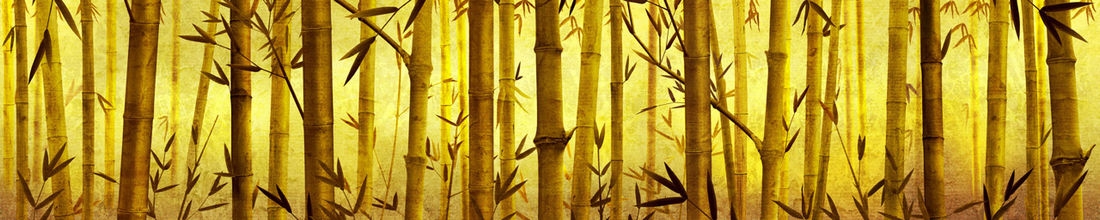 skinali 1548
